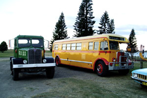 Hunter Valley AECs (195k)